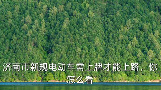 濟南市新規(guī)電動車需上牌才能上路，你怎么看