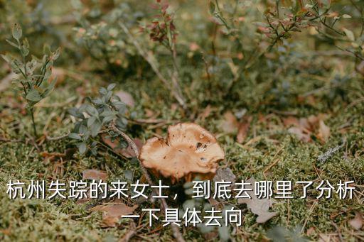 杭州失蹤的來(lái)女士，到底去哪里了分析一下具體去向