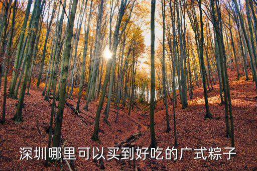 深圳哪里可以買到好吃的廣式粽子