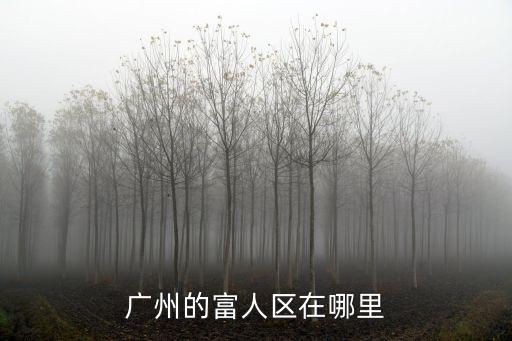 廣州的富人區在哪里