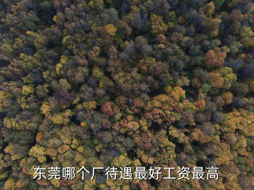東莞哪個廠待遇最好工資最高