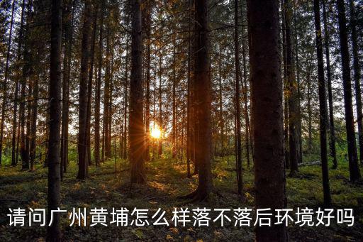 請問廣州黃埔怎么樣落不落后環境好嗎