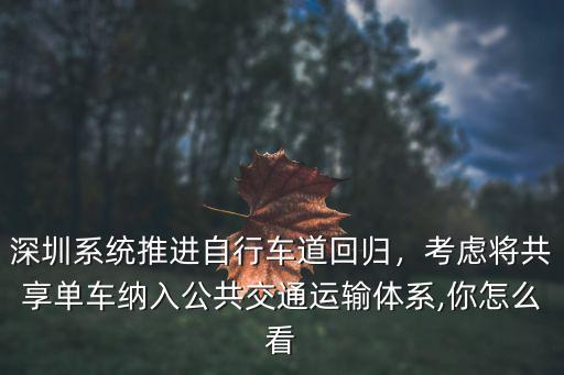 深圳系統推進自行車道回歸，考慮將共享單車納入公共交通運輸體系,你怎么看