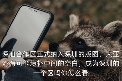深圳大亞灣區怎么樣,大亞灣會擴容到深圳嗎