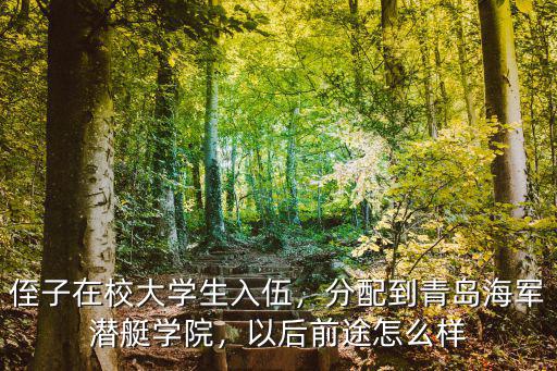 侄子在校大學生入伍，分配到青島海軍潛艇學院，以后前途怎么樣