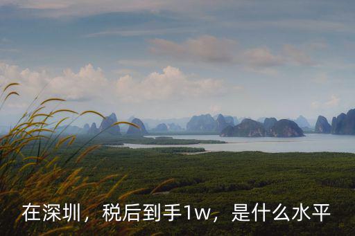 在深圳，稅后到手1w，是什么水平