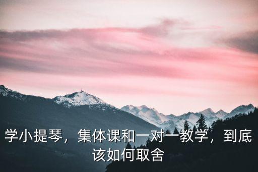 學小提琴，集體課和一對一教學，到底該如何取舍
