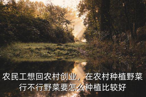 農民工想回農村創業，在農村種植野菜行不行野菜要怎么種植比較好