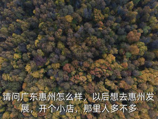 請問廣東惠州怎么樣，以后想去惠州發展，開個小店，那里人多不多