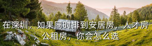 在深圳，如果同時排到安居房，人才房，公租房，你會怎么選
