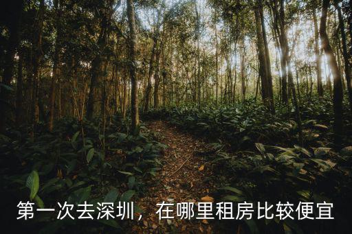 第一次去深圳，在哪里租房比較便宜