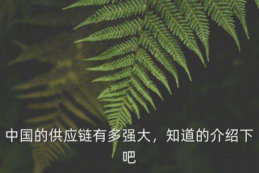 深圳供應鏈企業有多少家,中國的供應鏈有多強大