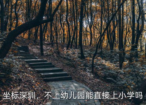 坐標深圳，不上幼兒園能直接上小學嗎