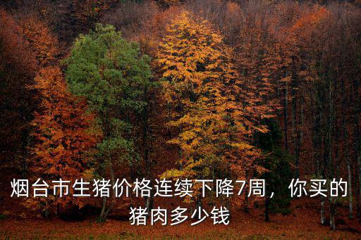今天煙臺龍大毛豬價格是多少錢一斤,萊陽的毛豬是什么價格