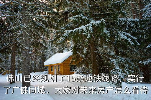 你怎么看待佛山新城,大家對未來房產(chǎn)怎么看待
