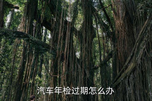 廣州汽車過期未年審怎么辦,汽車年檢過期怎么辦