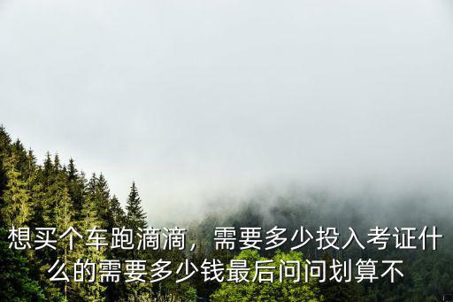 想買個車跑滴滴，需要多少投入考證什么的需要多少錢最后問問劃算不