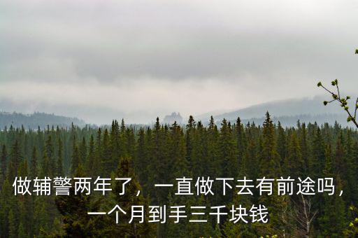 做輔警兩年了，一直做下去有前途嗎，一個月到手三千塊錢