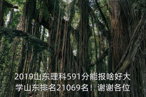 山東2019理科440分約多少名,山東排名21069名