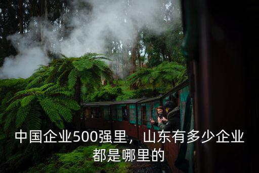 山東有多少家紡企業,中國企業500強里