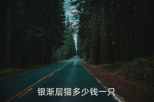 銀漸層貓多少錢一只