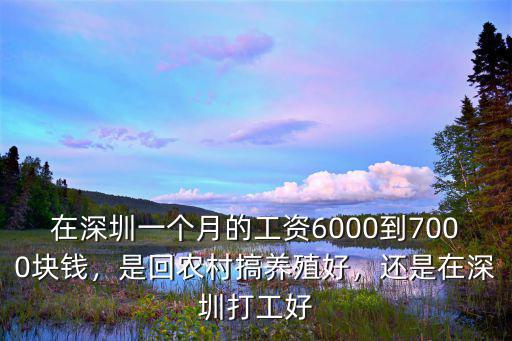 在深圳一個月的工資6000到7000塊錢，是回農村搞養殖好，還是在深圳打工好