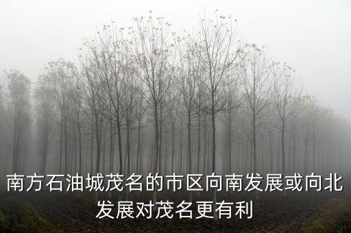 南方石油城茂名的市區向南發展或向北發展對茂名更有利