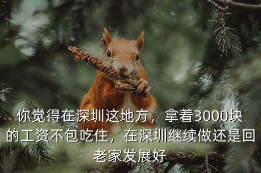你覺得在深圳這地方，拿著3000塊的工資不包吃住，在深圳繼續做還是回老家發展好