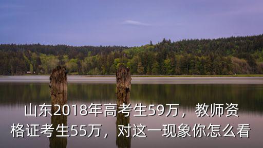 2018廣東省應屆高考生有多少人,山東2018年高考生59萬
