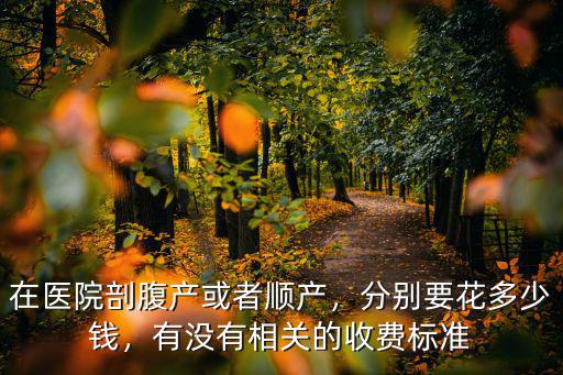 在醫(yī)院剖腹產(chǎn)或者順產(chǎn)，分別要花多少錢，有沒有相關(guān)的收費(fèi)標(biāo)準(zhǔn)
