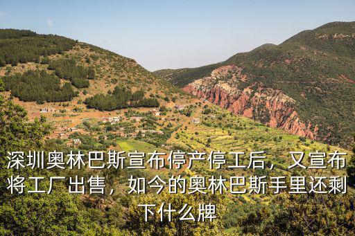 深圳奧林巴斯宣布停產停工后，又宣布將工廠出售，如今的奧林巴斯手里還剩下什么牌