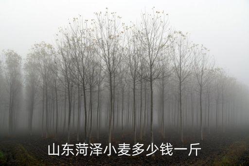 山東菏澤小麥多少錢一斤