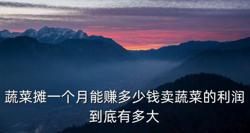 東莞超市蔬菜多少錢一斤,蔬菜攤一個月能賺多少錢