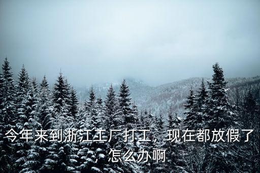 浙江工廠木工工資多少,今年來到浙江工廠打工