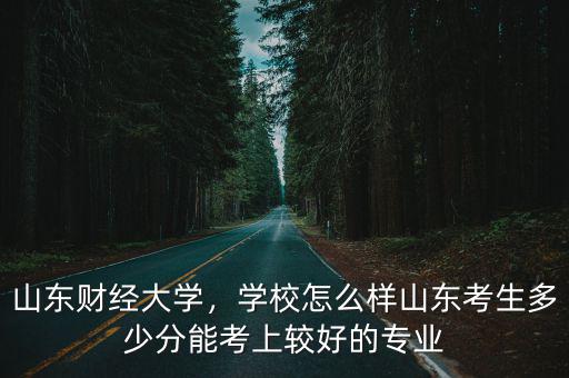 山東財經大學，學校怎么樣山東考生多少分能考上較好的專業