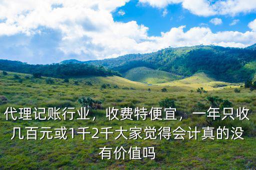 青島代理記賬費多少,代理記賬行業