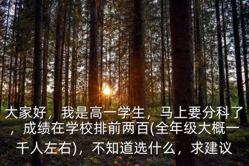 大家好，我是高一學生，馬上要分科了，成績在學校排前兩百(全年級大概一千人左右)，不知道選什么，求建議