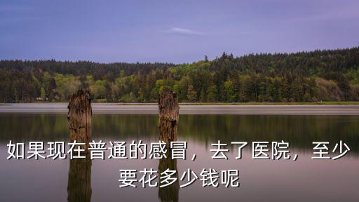 杭州醫(yī)院發(fā)熱治療要花多少錢,治療腫瘤到底要花多少錢