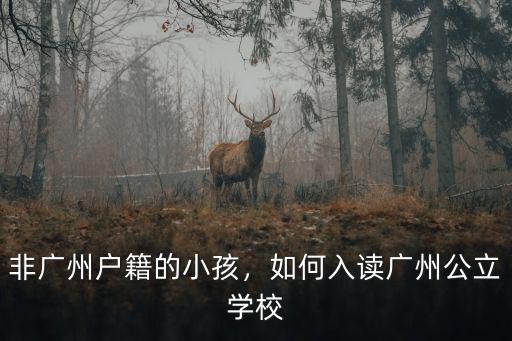 廣州外來人怎么讀公立小學,非廣州戶籍的小孩