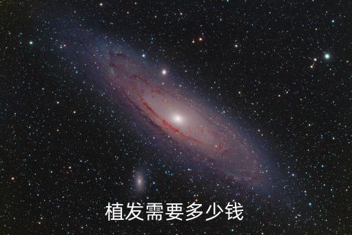 棗莊植發要多少錢,植發需要多少錢