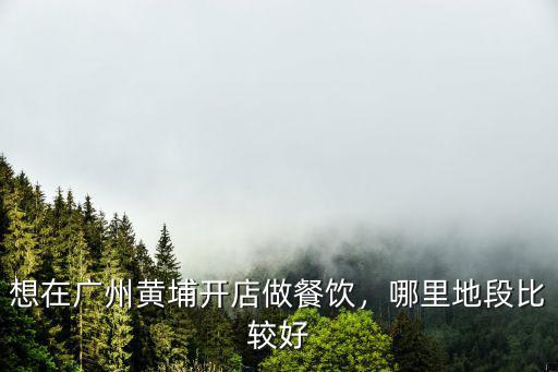 廣州黃埔哪里地推好,想在廣州黃埔開店做餐飲