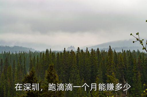 深圳跑摩的的一個月能掙個多少,在農村靠打摩的掙錢嗎