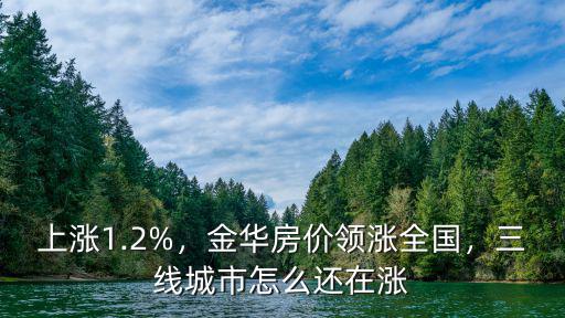 金華房子今年漲多少,金華房價領(lǐng)漲全國