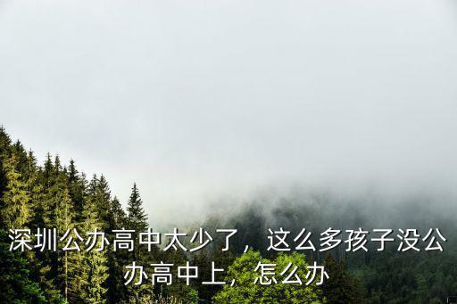 深圳公辦高中太少了，這么多孩子沒公辦高中上，怎么辦