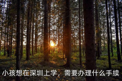 小孩想在深圳上學，需要辦理什么手續