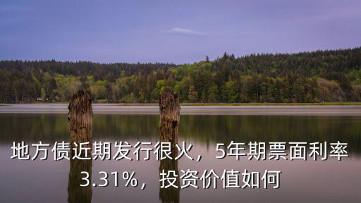 寧波地方債發行多少錢,地方債近期發行很火