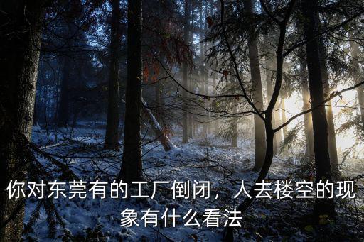 東莞有多少工廠倒閉?,東莞為什么倒閉了很多工廠