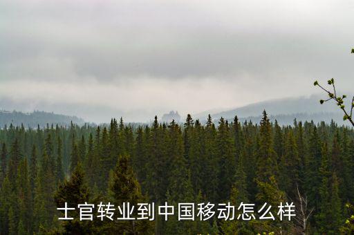 士官轉(zhuǎn)業(yè)到中國移動怎么樣