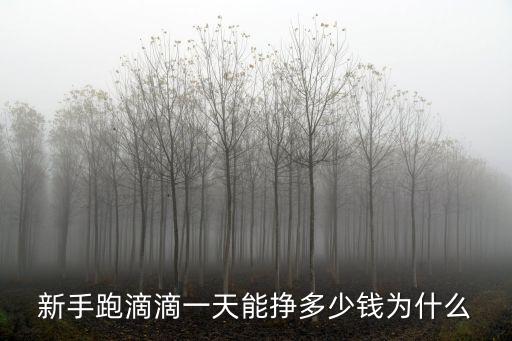 新手跑滴滴一天能掙多少錢為什么