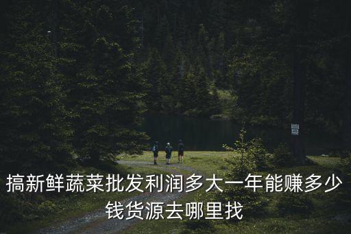 杭州批發(fā)蔬菜一年能賺多少錢,賣菜一年能賺多少錢
